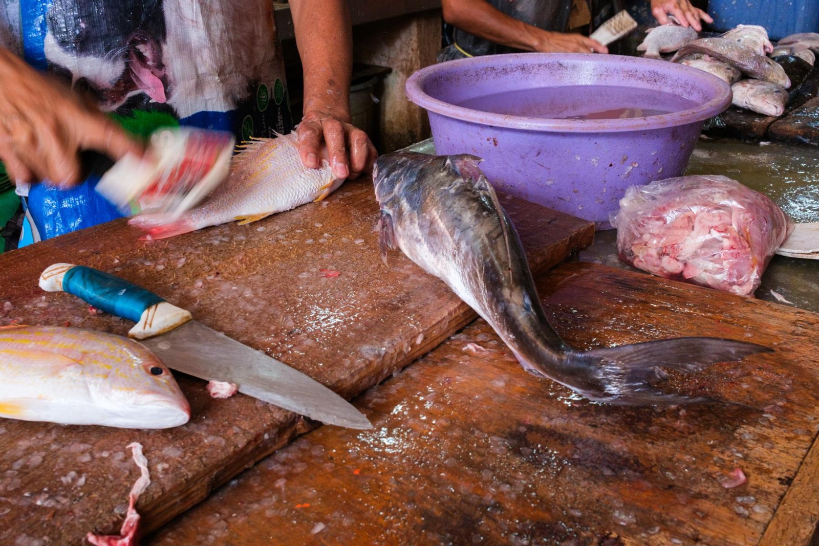 Documentary travel photograph from Mexico by Mattia Compagnucci