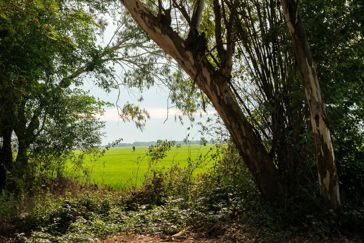 Documentary travel photograph from Vietnam by Mattia Compagnucci