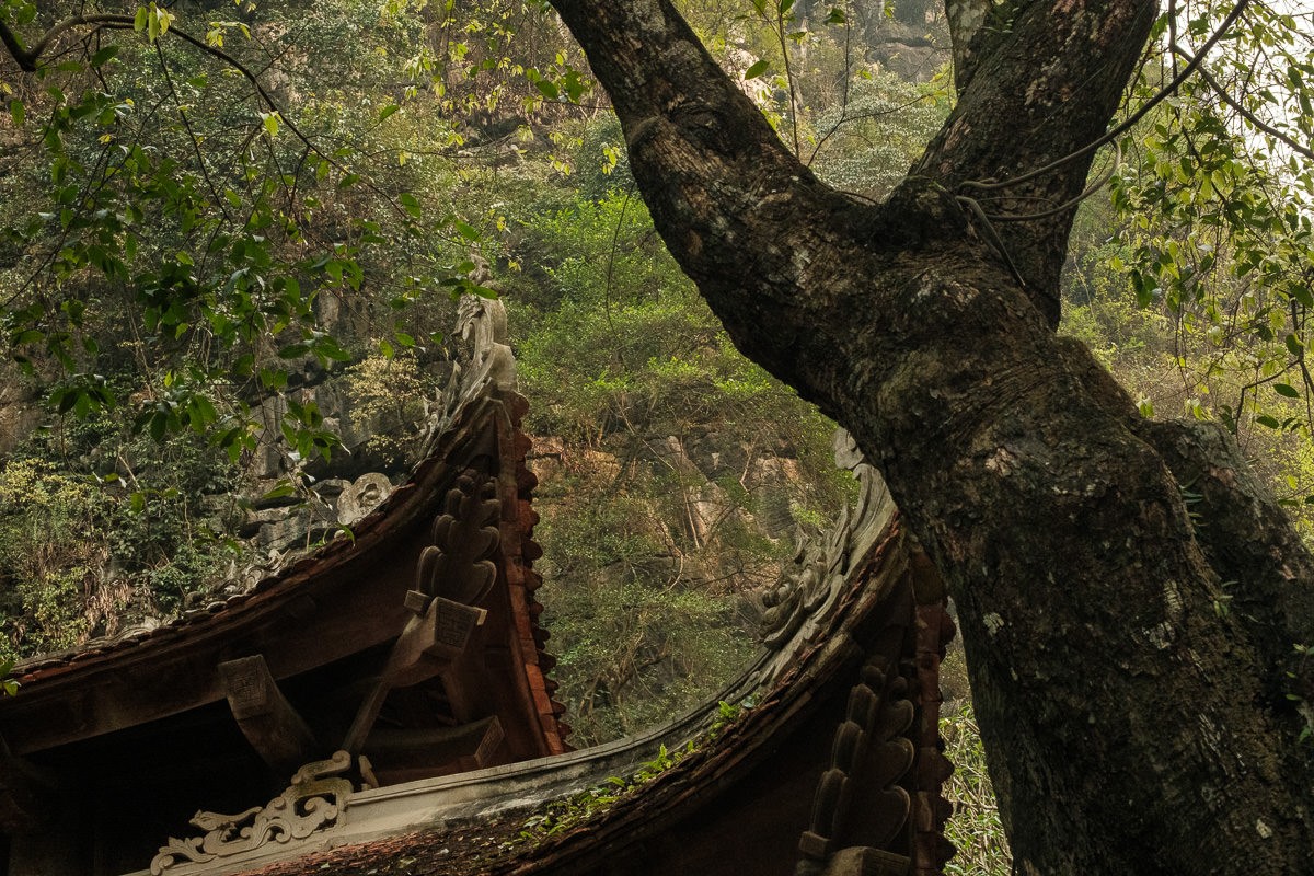 Documentary travel photograph from Vietnam by Mattia Compagnucci